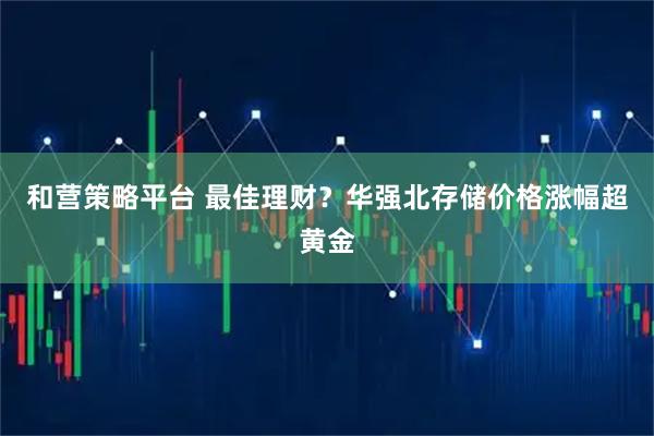 和营策略平台 最佳理财？华强北存储价格涨幅超黄金