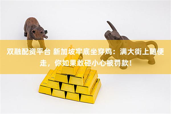 双融配资平台 新加坡牢底坐穿鸡：满大街上随便走，你如果敢碰小心被罚款！