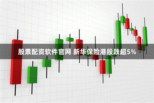 股票配资软件官网 新华保险港股跌超5%